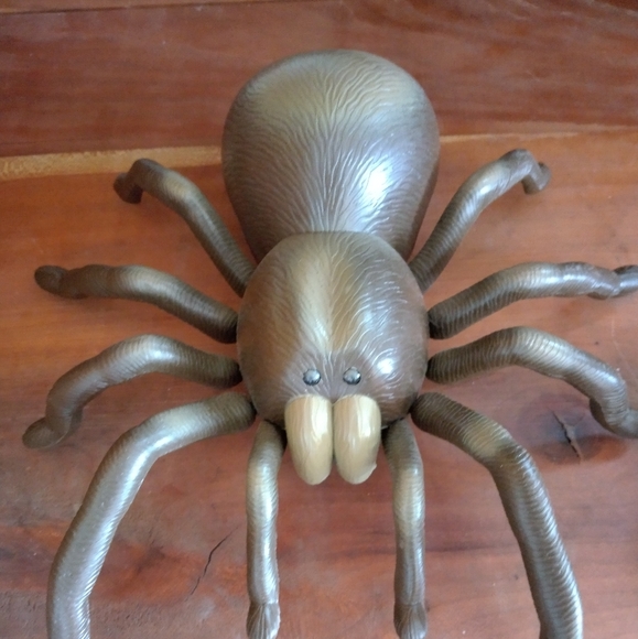 Discovery Spider - Picture 2 of 2